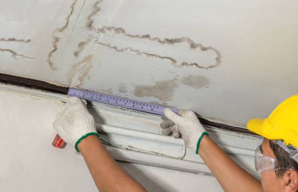 Reliable Water Damage contractor in Hartline, WA by Water Damage Irwin